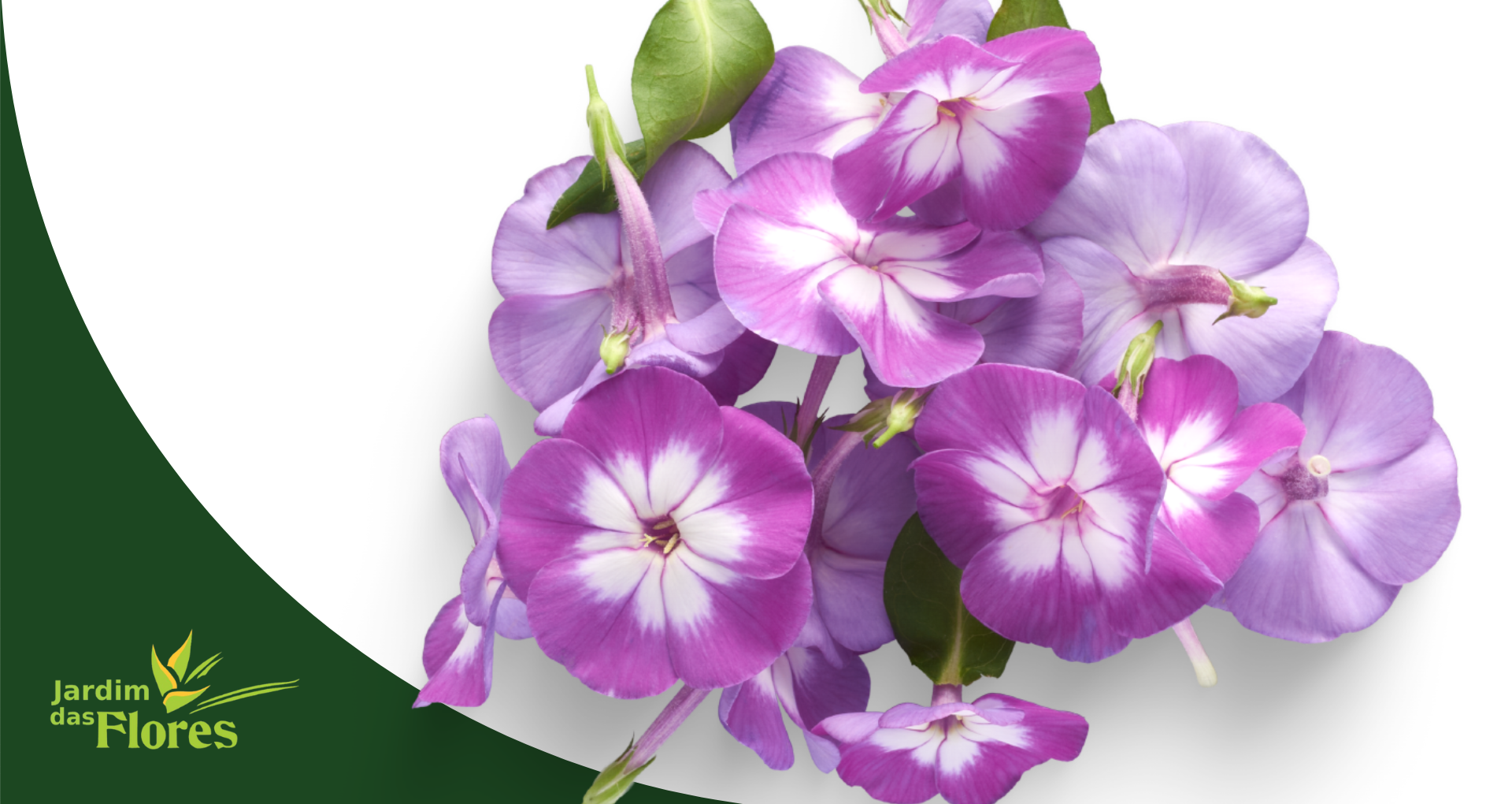 O Significado das Cores nas Coroas de Flores para homenagens